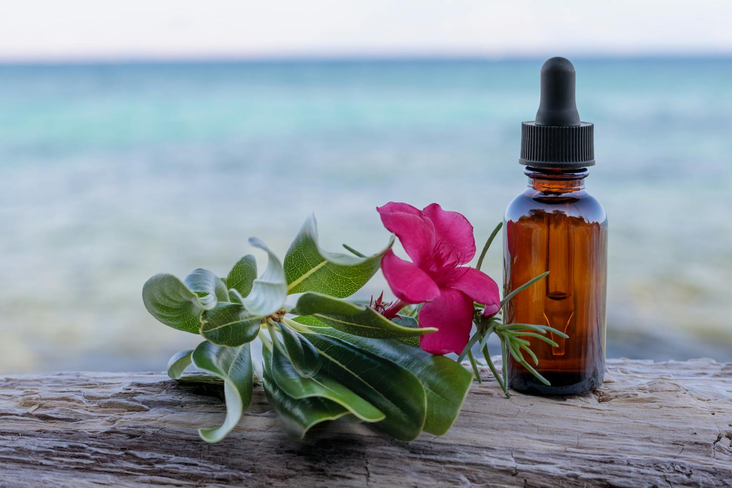 Les fleurs de bach sont-elles vraiment efficaces pour soulager le stress ?