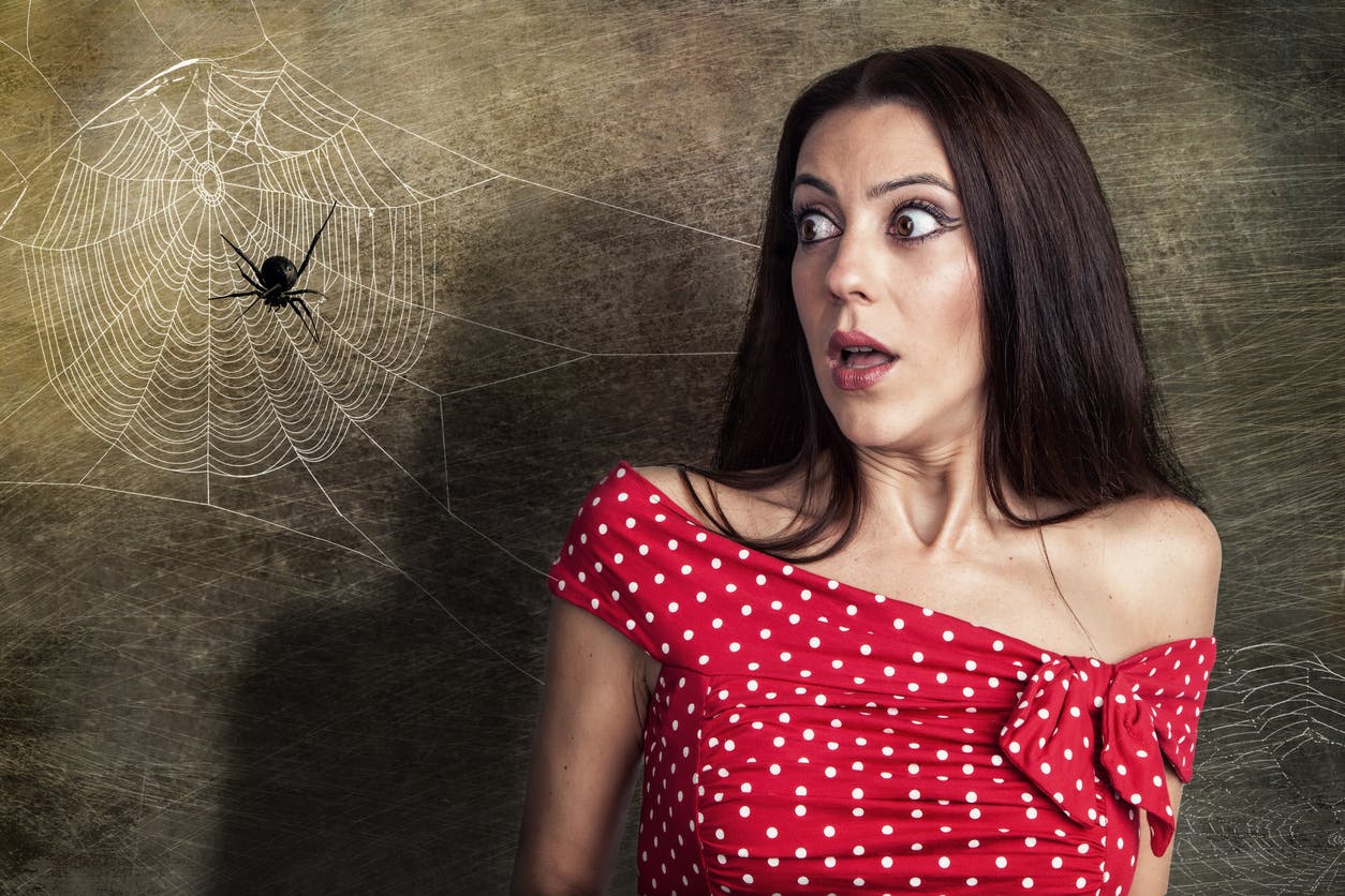 Arachnophobie :  pourquoi cette peur des araignées ? que faire ?