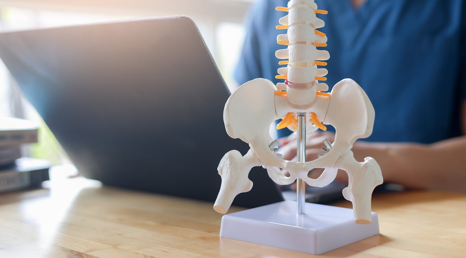 Tout savoir sur le sacrum, pilier méconnu de notre squelette