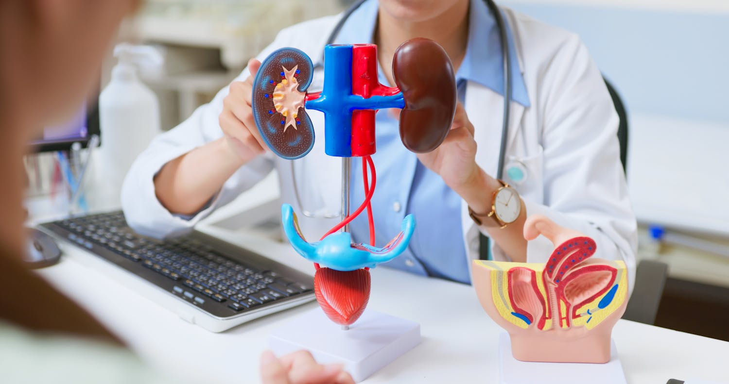 Tout savoir sur l'uroscanner : un examen clé pour vos reins