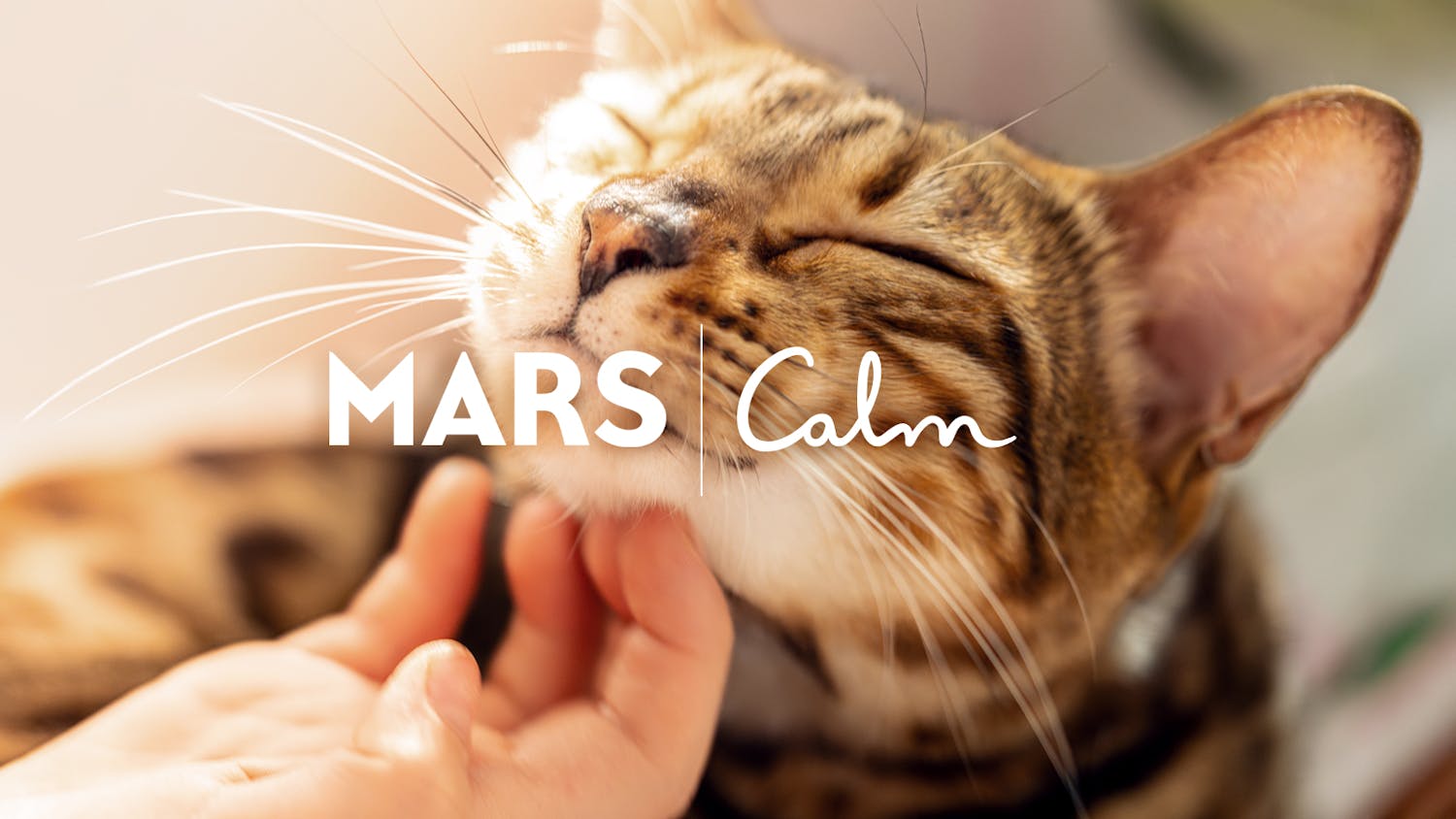 Mars et Calm révèlent le pouvoir du lien Homme-Animal